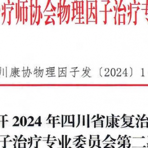 关于召开2024年
 物理因子治疗专业委员会第二次学术会暨物理因子治疗专业委员会第二届换届选举大会的通知 ...